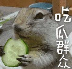 带你吃瓜新暗号,揭秘“带你吃瓜新暗号”背后的秘密与趣味