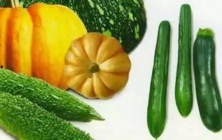 吃瓜大飞,揭秘娱乐圈幕后风云