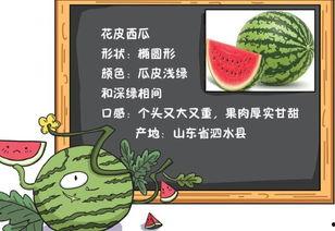 吃瓜观史,趣味解读历史事件背后的故事