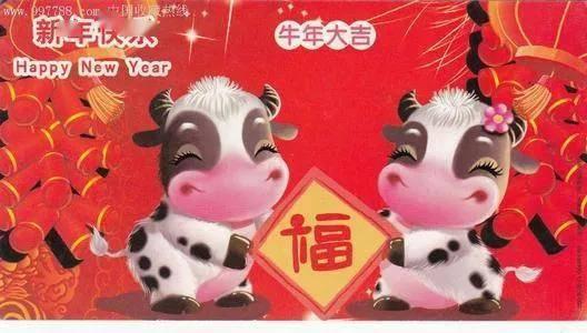 吃瓜群婆 牛年专属,吃瓜群婆的专属狂欢时光