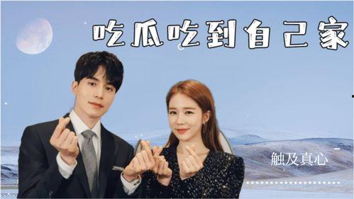 带粉丝吃瓜的小说,带粉丝吃尽娱乐圈风云