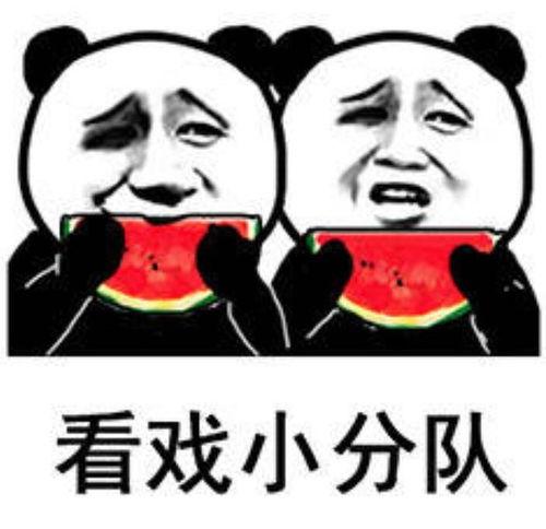 胖龙吃瓜表情包,趣味横生的网络文化现象