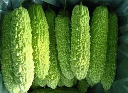 吃瓜王俏俏南宁,揭秘网红美食背后的故事