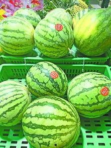 吃瓜假西瓜,一场关于真假瓜的趣味之旅