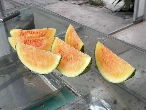 自在吃瓜,轻松掌握娱乐圈最新动态