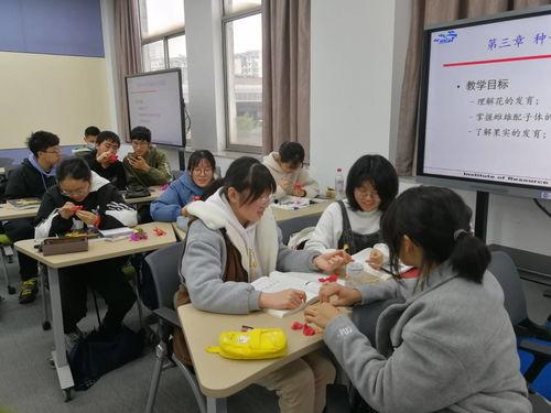 作文吃瓜大会,一场别开生面的吃瓜大会