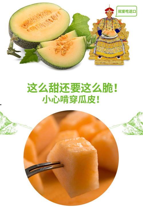 吃白沙蜜瓜,品味白沙蜜瓜的甜蜜诱惑