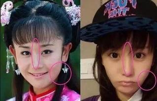 海陆紫薇吃瓜,揭秘娱乐圈背后的秘密与真相