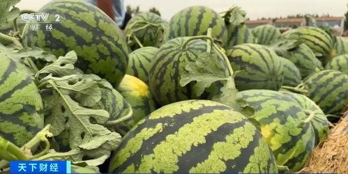 大白在吃瓜香蜜番外3,揭秘甜蜜背后的秘密